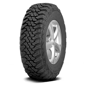 Accelera M/T-01 Accelera M/T-01