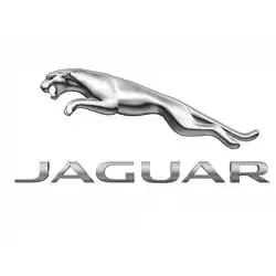 Jaguar Jaguar